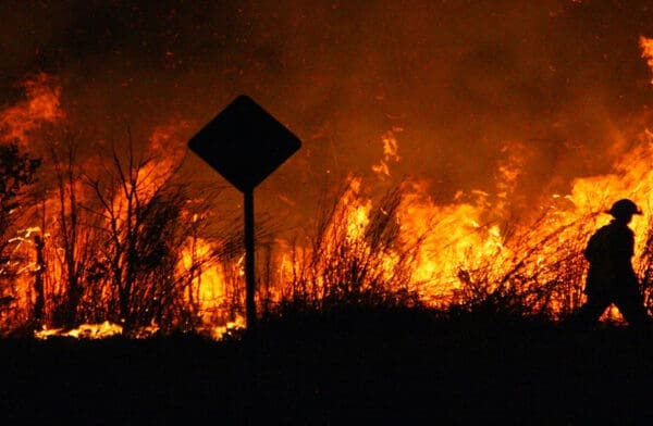Australian Bushfire Crisis – Charity Day